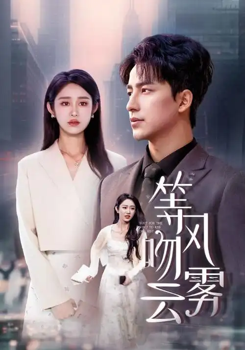 在线影视短剧：念念无明